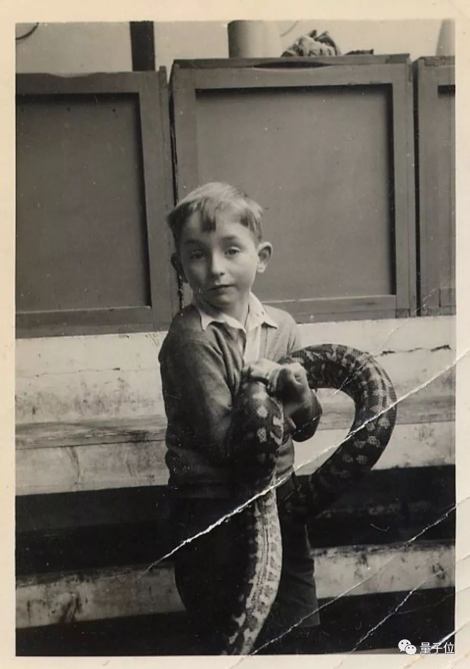 Hinton:人类就是机器,绝妙的机器 Hinton:人类就是机器,绝妙的机器