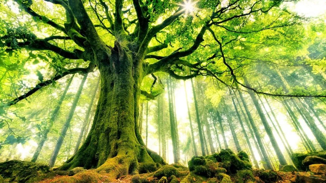 AI取代人工?你需要在岗位中保持这种思维 AI取代人工?你需要在岗位中保持这种思维