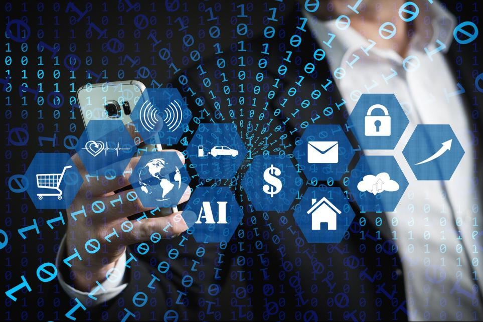 309c23cbaa942528624e48