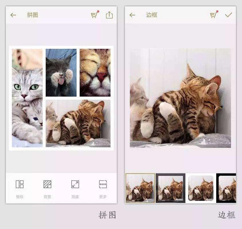 Fotor – 图片编辑，照片美化软件，只为好照片