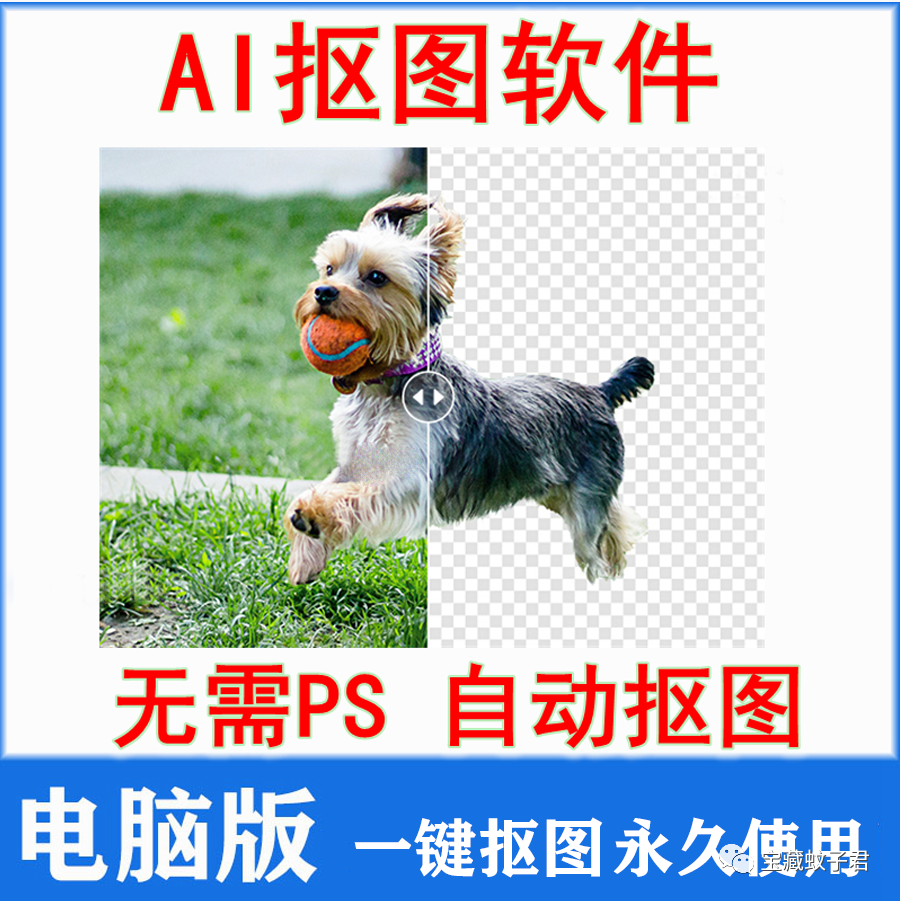 AI一键抠图神器！谁还傻乎乎的自己扣图呢？