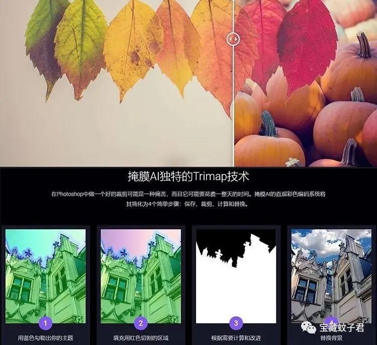 AI一键抠图神器！谁还傻乎乎的自己扣图呢？