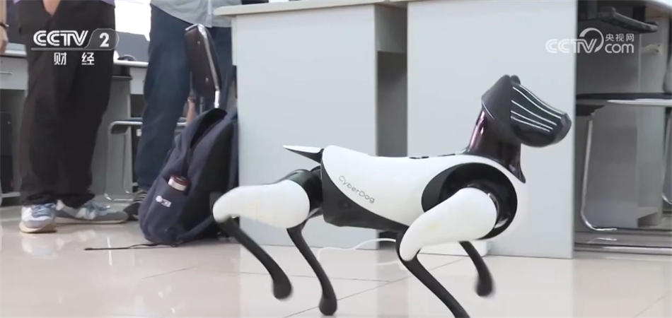 我国推动“AI+X”跨界人才培养 人工智能就业前景让相关专业热度持续攀升