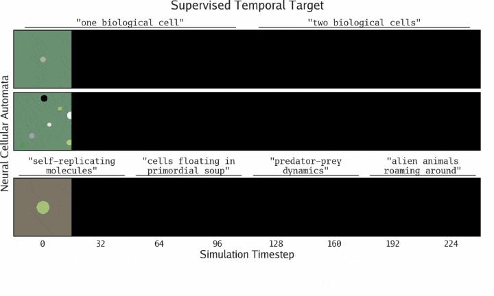 MIT、OpenAI等震撼力作:AI自主发现人工生命!人类窥见上帝造物 MIT、OpenAI等震撼力作:AI自主发现人工生命!人类窥见上帝造物