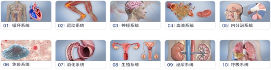 “AI+医学教育”,交医探索新医科背景下医学创新人才培养新模式 | 人工智能赋能高等教育 “AI+医学教育”,交医探索新医科背景下医学创新人才培养新模式 | 人工智能赋能高等教育