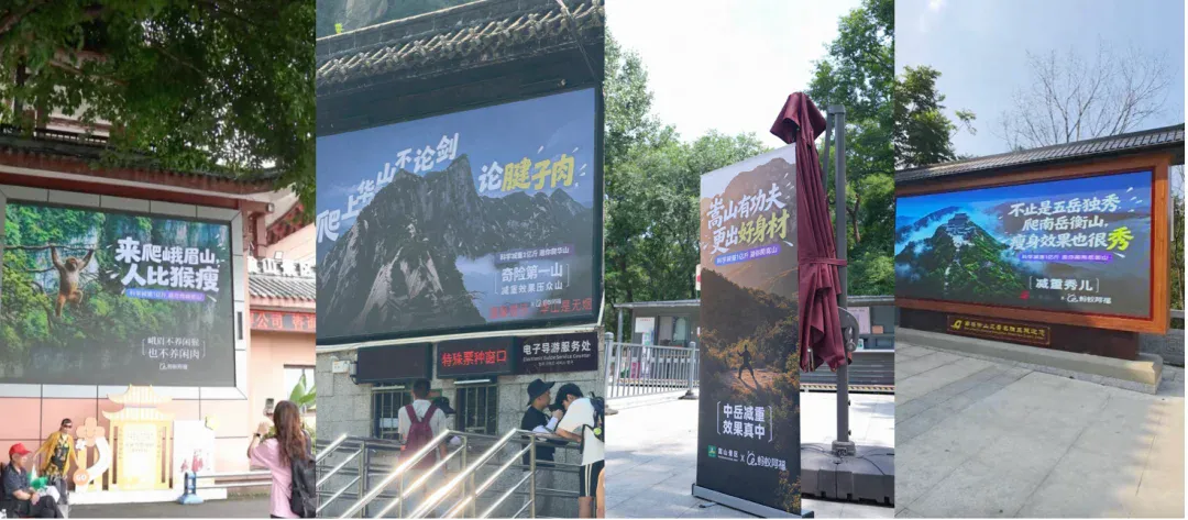 让AI先吃,这个国民级健康难题有解了 让AI先吃,这个国民级健康难题有解了