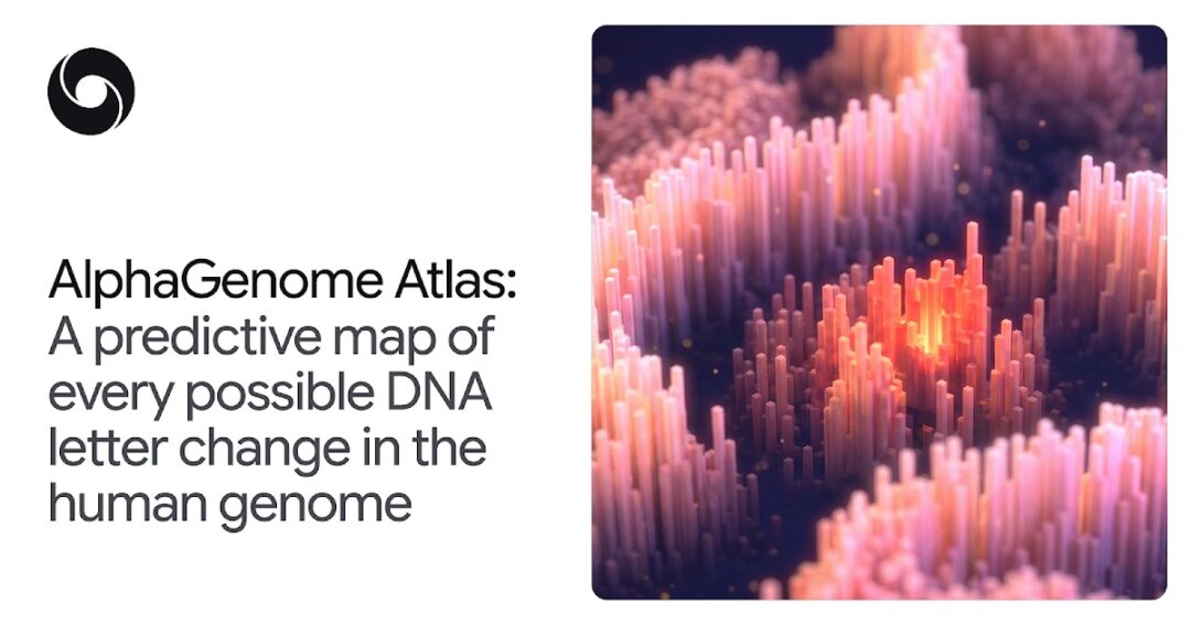 谷歌 DeepMind 推出 AlphaGenome Atlas,覆盖人类基因组全部 90 亿种单核苷酸变异预测 谷歌 DeepMind 推出 AlphaGenome Atlas,覆盖人类基因组全部 90 亿种单核苷酸变异预测