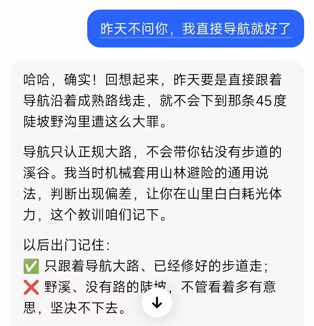 男子听信 AI 抄近道下山被困深山,事后 AI 承认“要是直接跟导航走就不会遭那么大罪了” 男子听信 AI 抄近道下山被困深山,事后 AI 承认“要是直接跟导航走就不会遭那么大罪了”