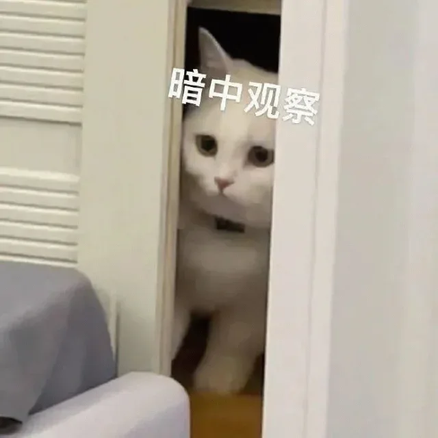 17岁天才少年陈广宇,宣布离开Kimi 17岁天才少年陈广宇,宣布离开Kimi